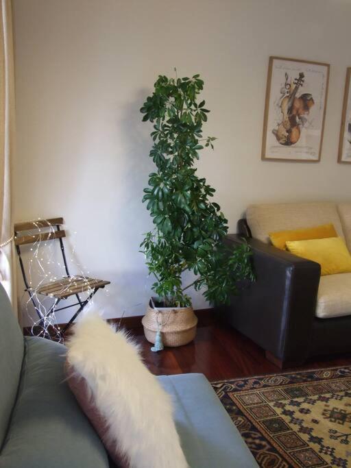 Ferienwohnung Elduayen Luxury Centro Vigo Exterior foto